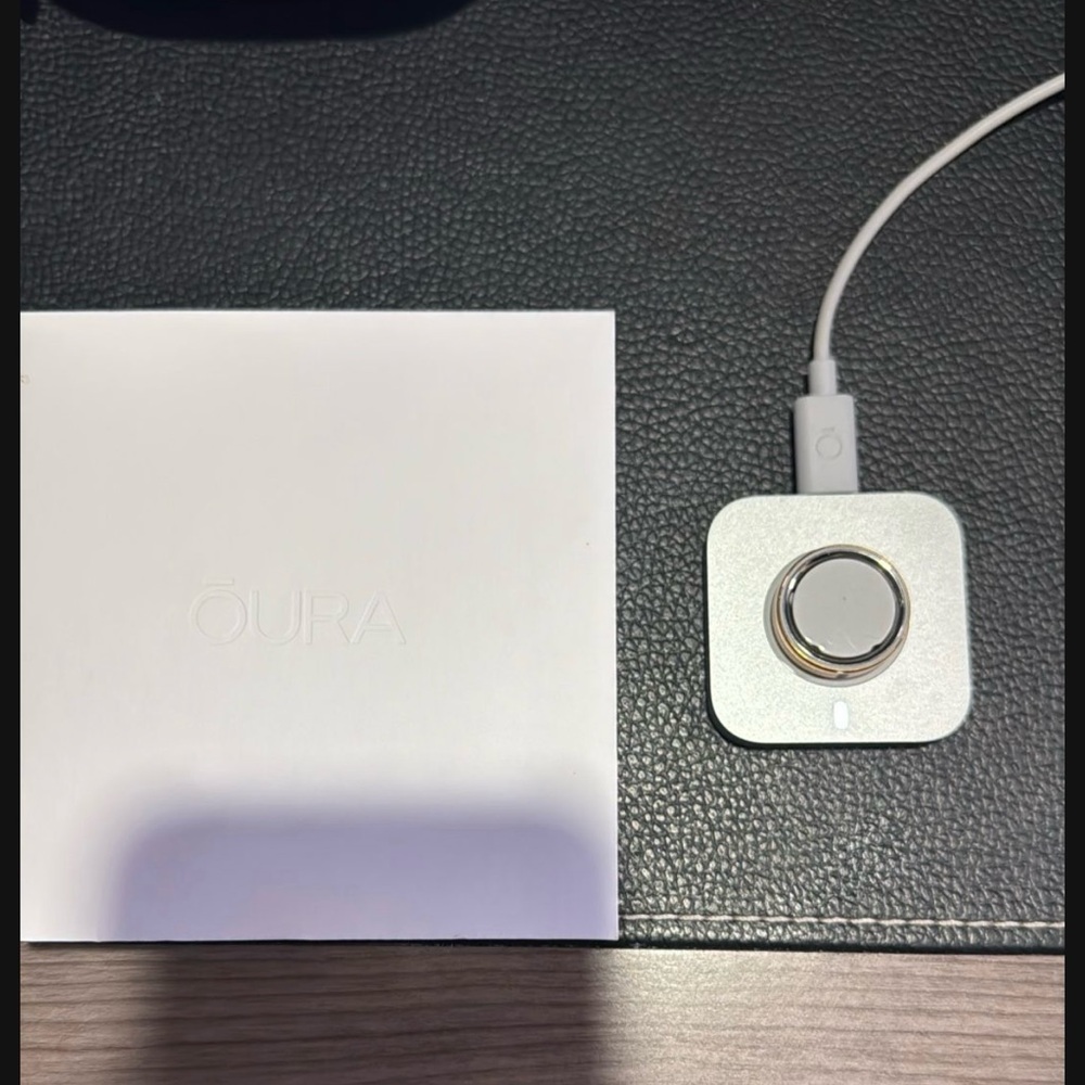 Oura Ring Charger in Metallic Silver